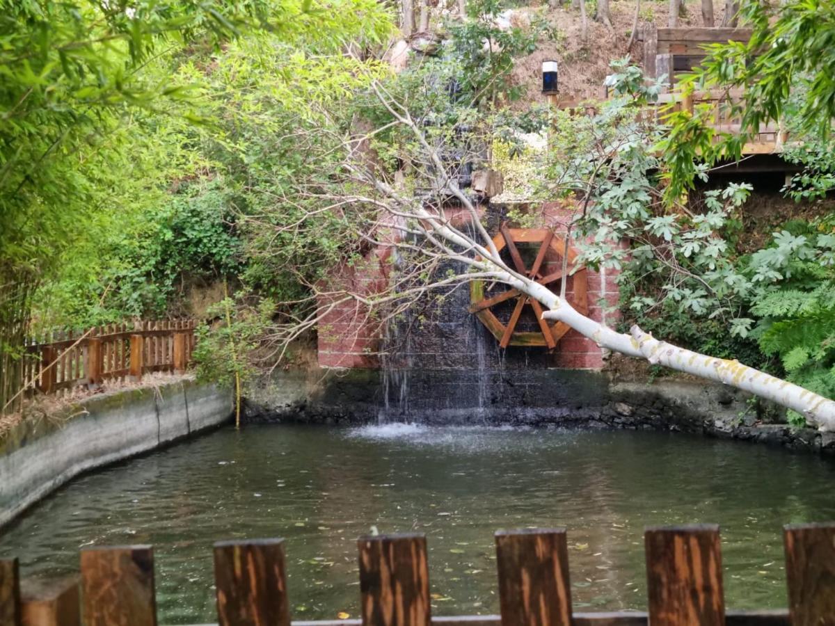 Mavi At Hotel Blue Horse Gumusdere Exterior foto