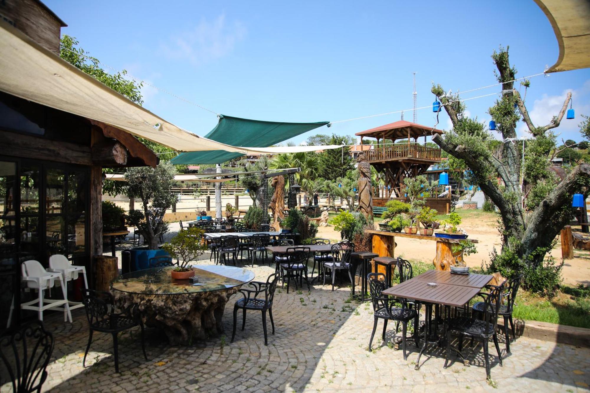 Mavi At Hotel Blue Horse Gumusdere Exterior foto