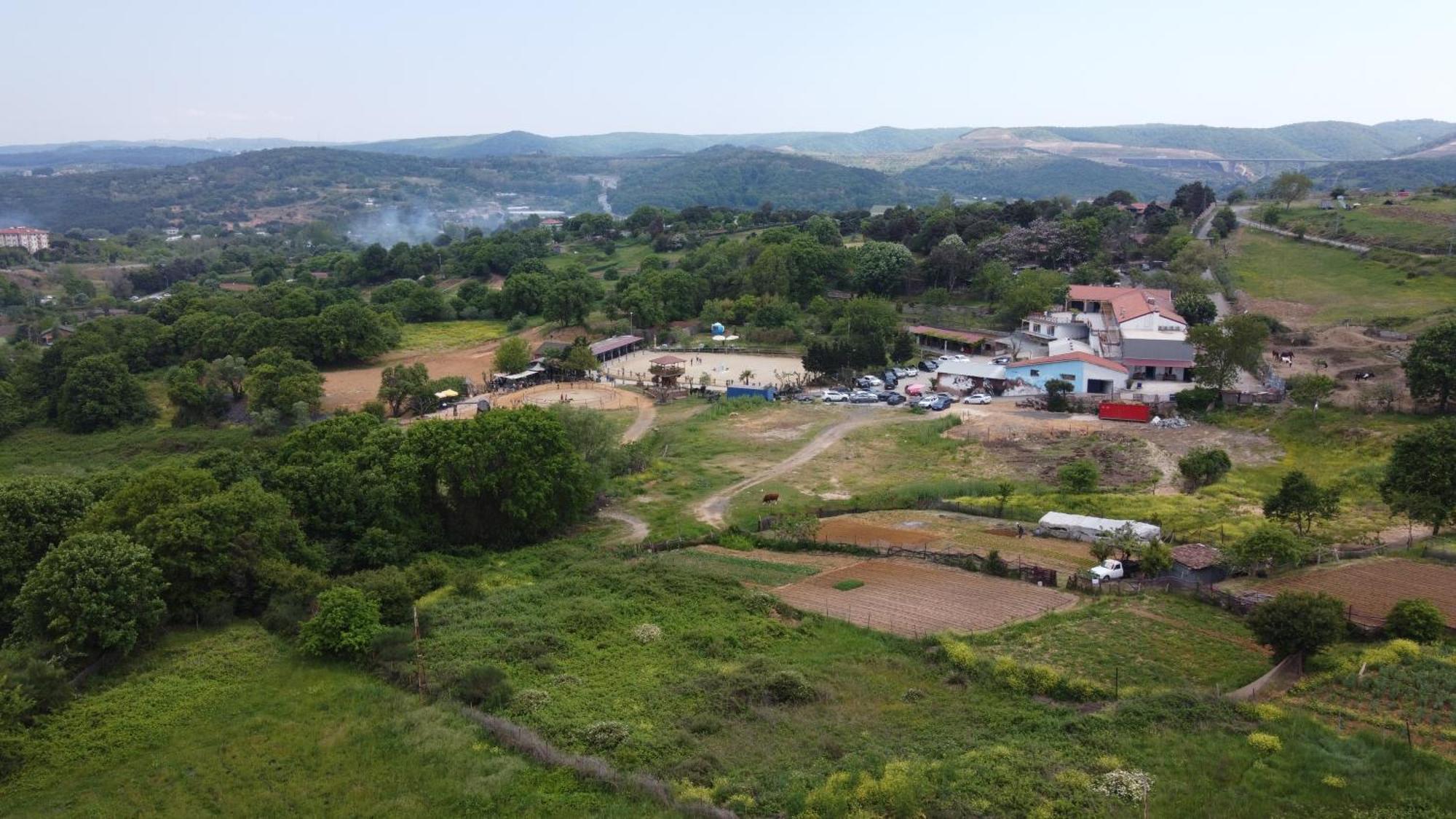 Mavi At Hotel Blue Horse Gumusdere Exterior foto