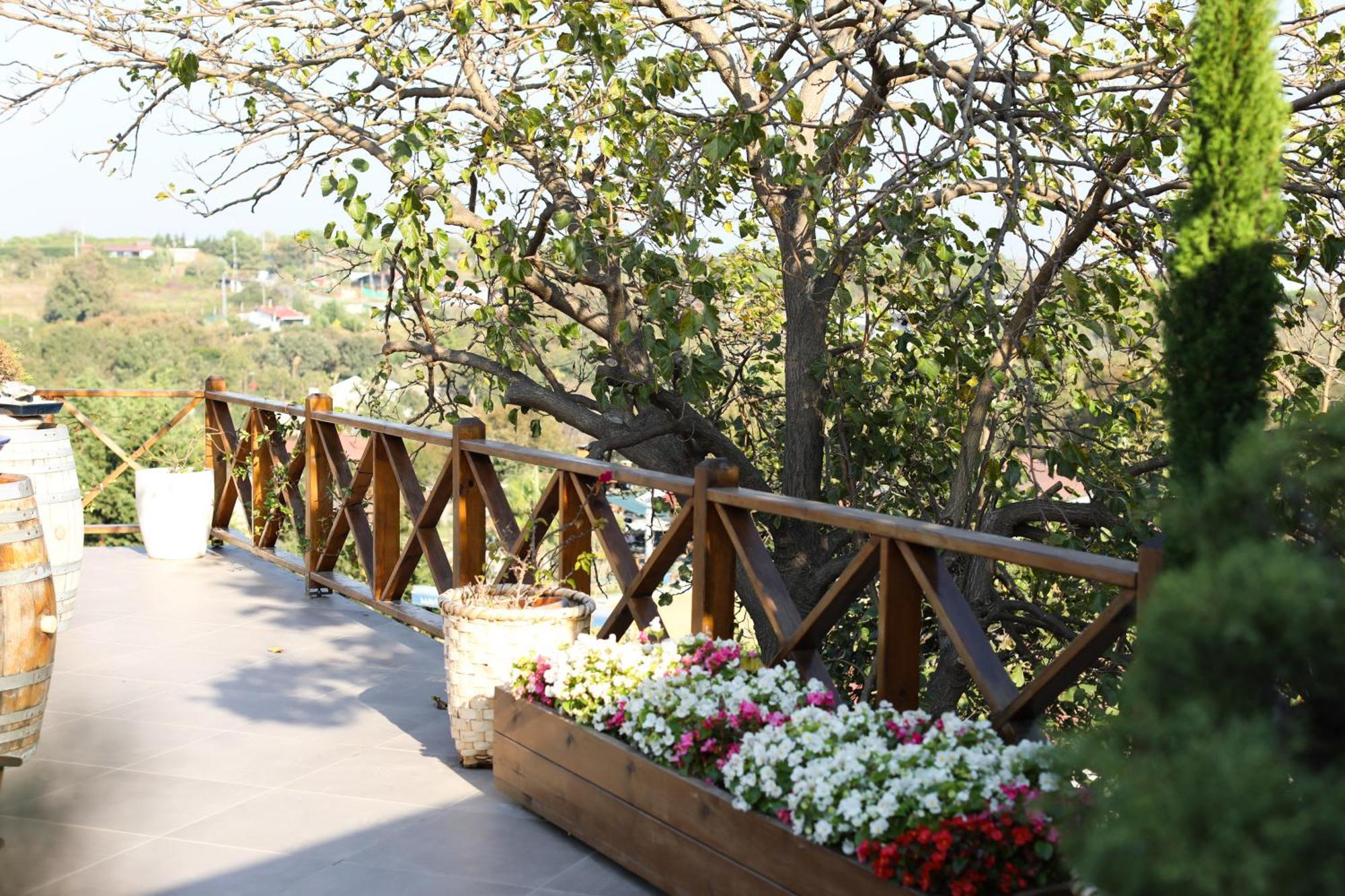 Mavi At Hotel Blue Horse Gumusdere Exterior foto